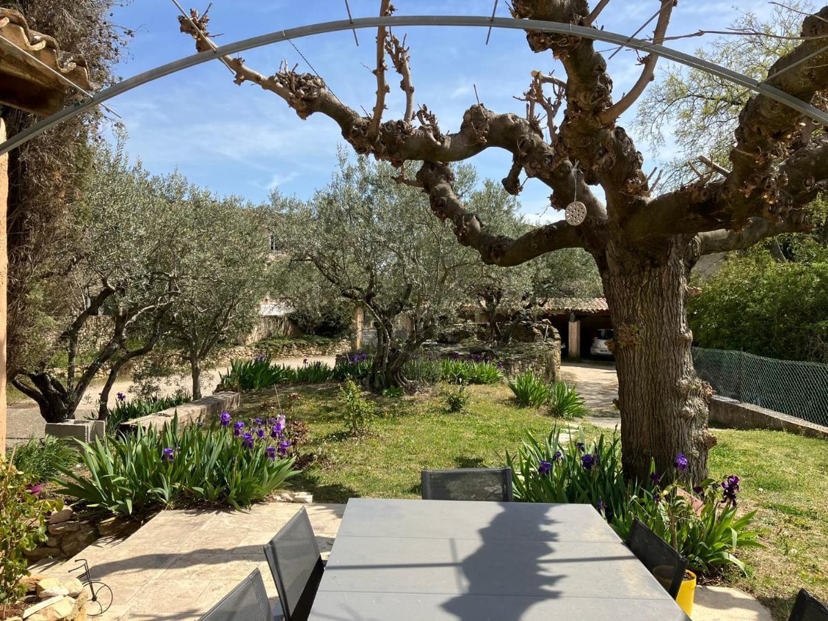 Chambre Avec Petit-Dejeuner En Provence Luberon La Tour-dʼAigues エクステリア 写真